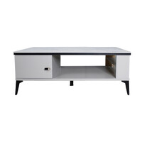 Modern Coffee Table 19-120